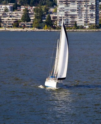 Cruise1_055.jpg