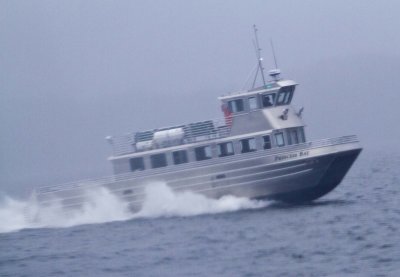 Cruise03_018.jpg