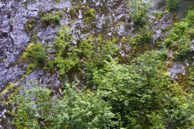 Cruise03_049.jpg