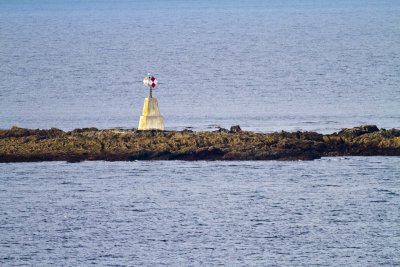 Cruise03_101.jpg