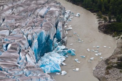 Day 4: Juneau & Glacier Flightseeing