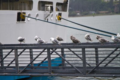 Cruise04_185.jpg