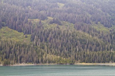 Cruise07_048.jpg