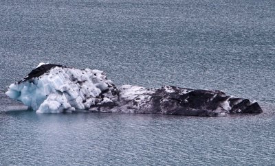 Cruise07_108.jpg