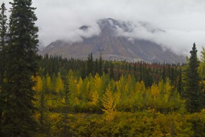 Cruise08_070.jpg