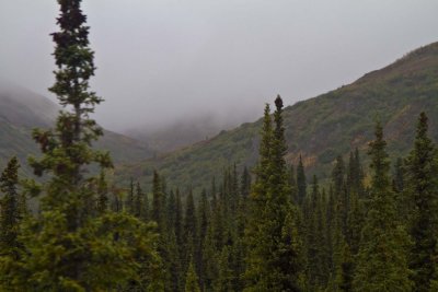 Cruise08_098.jpg
