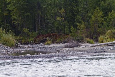 Cruise10_054.jpg