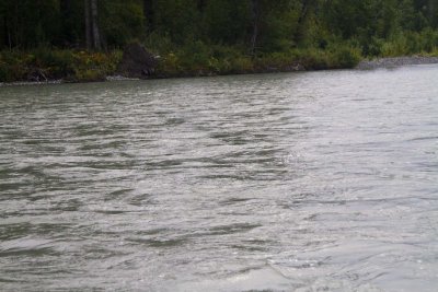 Cruise10_106.jpg