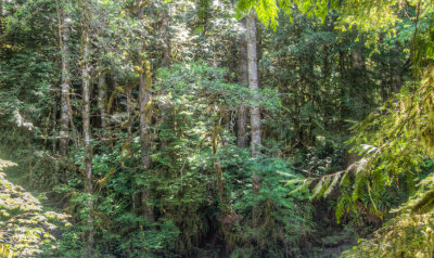 MtBaker-01.jpg