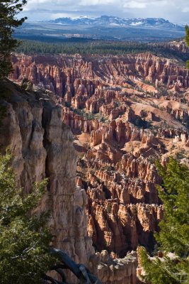  Cathedrals in the Sky -- Bryce Canyon National Park
