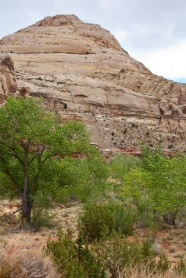 A Wrinkle in the Earth --Capitol Reef National Park