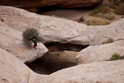 Natural Bridge