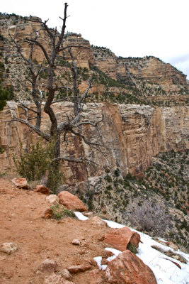 Less snow as we drop into the canyon.