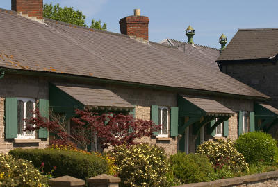 g4/43/127943/3/61274823.CRW_3036pbase.jpg