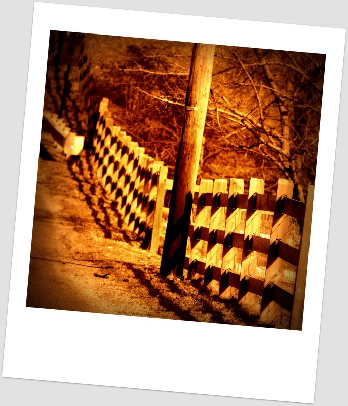 The Fence
