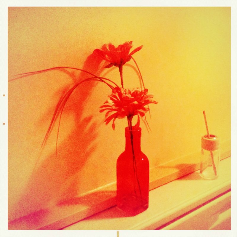 Flower Power