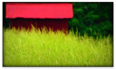 Grass and Barn