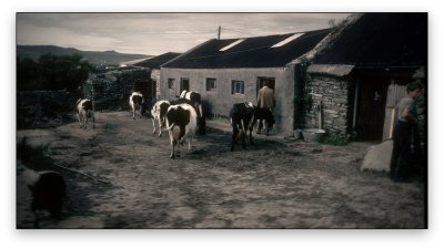 Main Drag Dingle Ireland