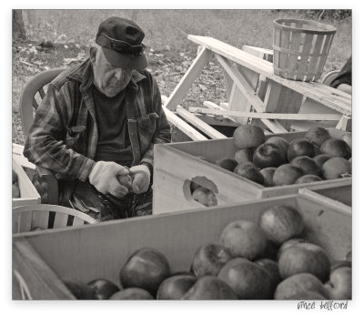 Apple Orchard Owner