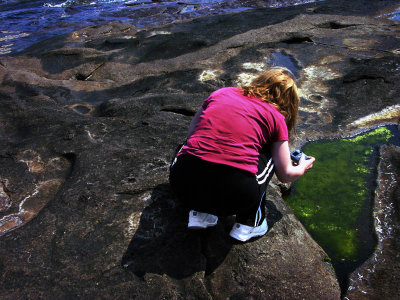 Shooting Tide Pool