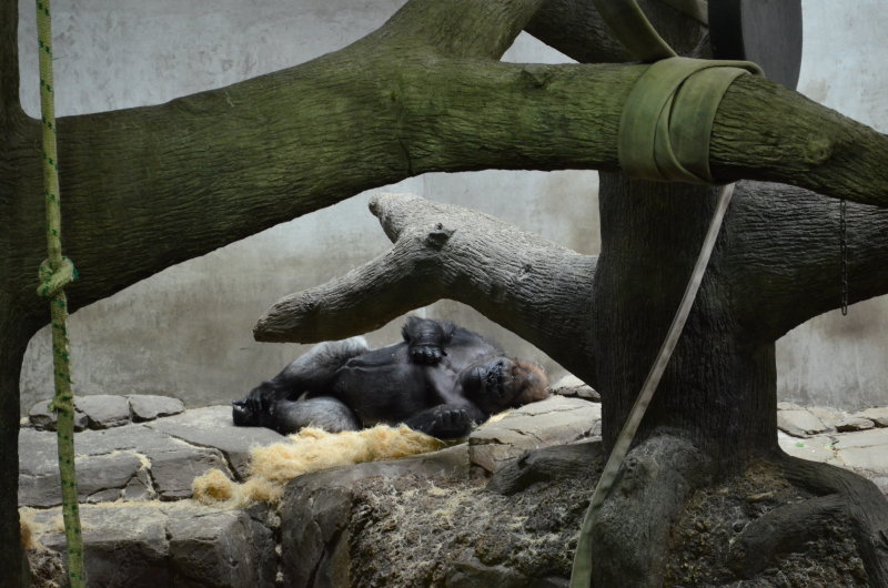 Nap time