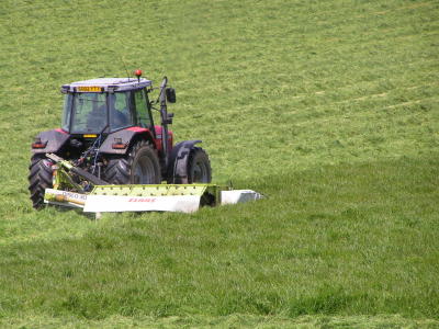 g4/43/278043/3/61088026.31stMay101.jpg