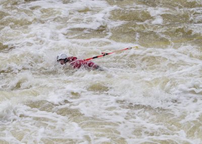 Swimmer 5 1504.jpg