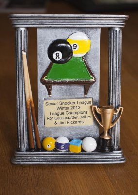 Snooker Trophy 4290.jpg