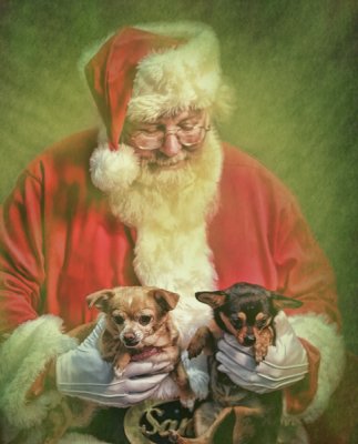 Santa's Dogs