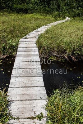 LimberlostRace-2012-4126.jpg