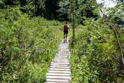 LimberlostRace-2012-4129.jpg