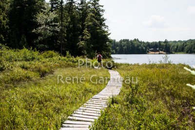 LimberlostRace-2012-4130.jpg