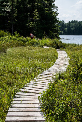 LimberlostRace-2012-4172.jpg