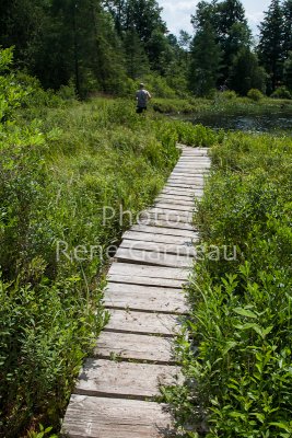 LimberlostRace-2012-4179.jpg