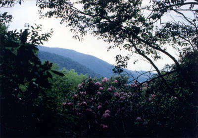 The Great Smoky Mountain National Park, Tennessee 1995