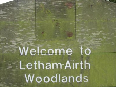 Falkirk: Letham Airth Woodlands - went into the woods for a long walk
