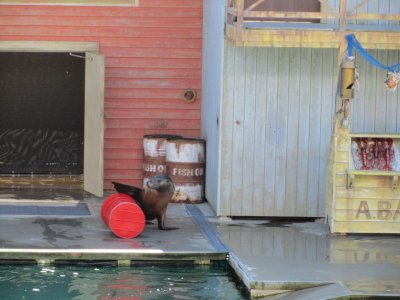 Sea World