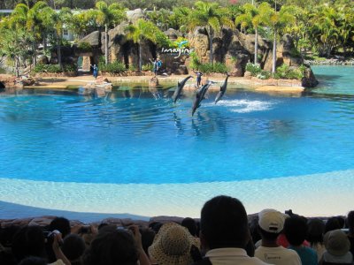 Sea World