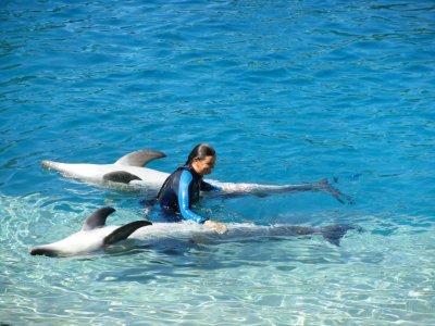 Sea World