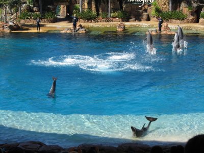 Sea World