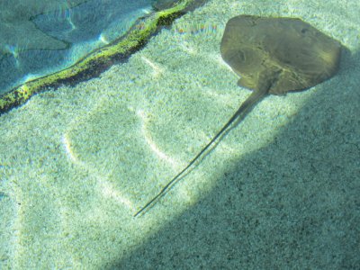 Sea World