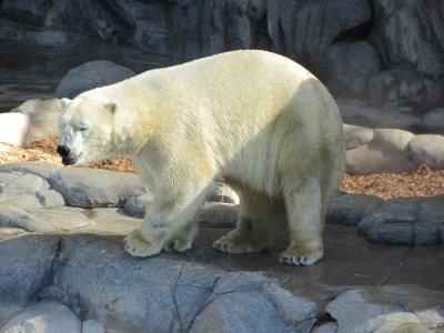 Sea World