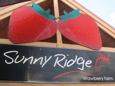 Mornington Peninsula Sunny Ridge Strawberry Farm