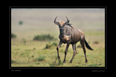 Expo Kenya 2011