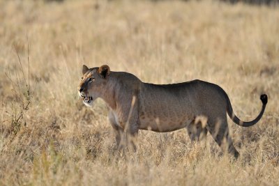 Nakuru