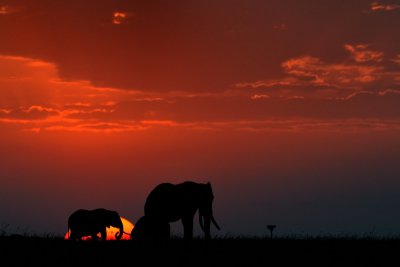 TJ_Kenya-11_19033.jpg