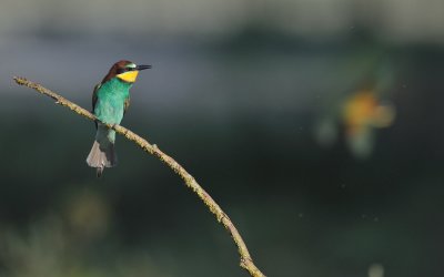 TJ_2011__034665.jpg