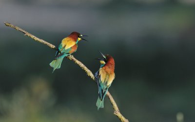 TJ_2011__034683.jpg