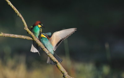 TJ_2011__034688.jpg