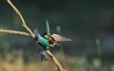 TJ_2011__034691.jpg
